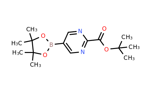 1822308-27-9 | tert-Butyl 5-(4,4,5,5-tetramethyl-1,3,2-dioxaborolan-2-yl)pyrimidine-2-carboxylate