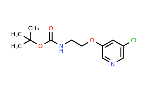1824105-39-6 | tert-Butyl (2-((5-chloropyridin-3-yl)oxy)ethyl)carbamate