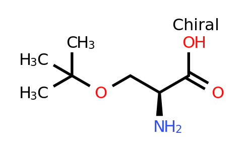 18822-58-7 | O-(tert-Butyl)-L-serine