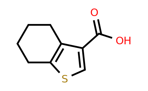 19156-54-8 | 4,5,6,7-Tetrahydro-1-benzothiophene-3-carboxylic acid