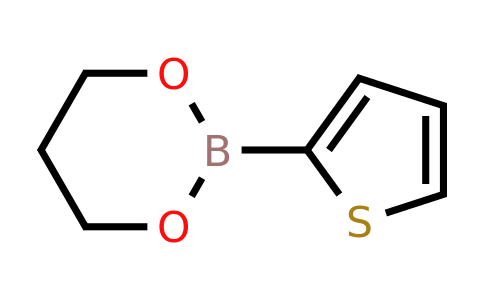 197024-83-2 | 2-(Thiophen-2-yl)-1,3,2-dioxaborinane