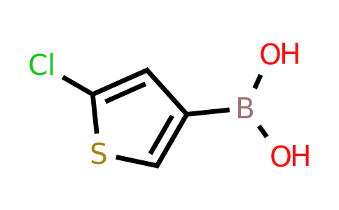 199659-23-9 | 5-Chlorothiophene-3-boronic acid