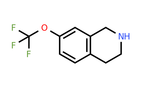 199678-30-3 | 7-(Trifluoromethoxy)-1,2,3,4-tetrahydroisoquinoline