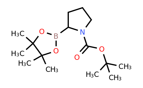 tert-Butyl 2-(tetramethyl-1,3,2-dioxaborolan-2-yl)pyrrolidine-1-carboxylate