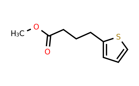 20828-66-4 | Methyl 4-(thiophen-2-yl)butanoate