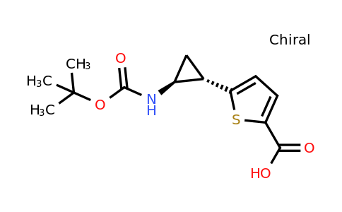 2092435-93-1 | 5-[trans-2-{[(tert-Butoxy)carbonyl]amino}cyclopropyl]thiophene-2-carboxylic acid