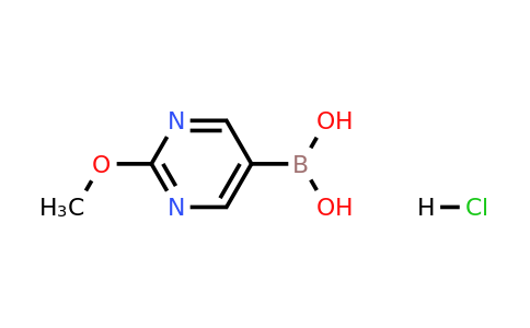 2096331-88-1 | (2-Methoxypyrimidin-5-yl)boronic acid hydrochloride