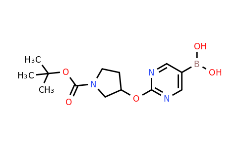 2096337-78-7 | 2-(1-Boc-Pyrrolidin-3-yloxy)pyrimidine-5-boronic acid