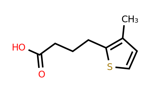 210097-89-5 | 4-(3-Methylthiophen-2-yl)butanoic acid