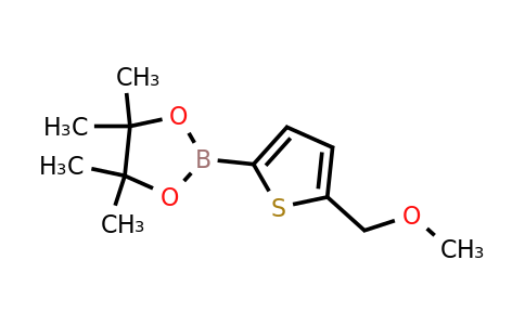 2102681-58-1 | 2-(Methoxymethyl)-thiophene-5-boronic acid pinacol ester
