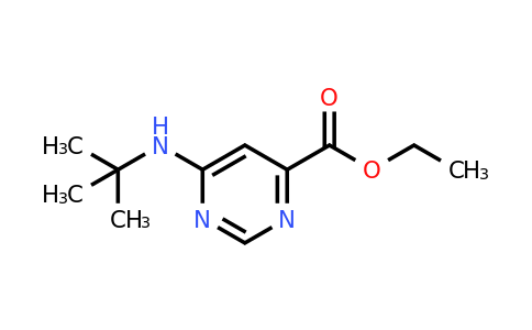 2153472-95-6 | Ethyl 6-(tert-butylamino)pyrimidine-4-carboxylate