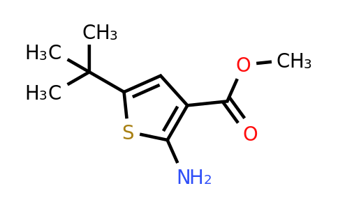 216574-71-9 | Methyl 2-amino-5-(tert-butyl)thiophene-3-carboxylate