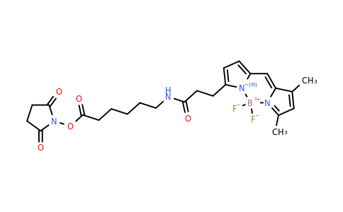 217190-09-5 | Bdy FL-x, se