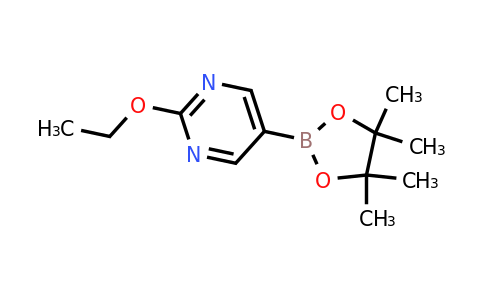 2223035-77-4 | 2-Ethoxy-pyrimidine-5-boronic acid pinacol ester