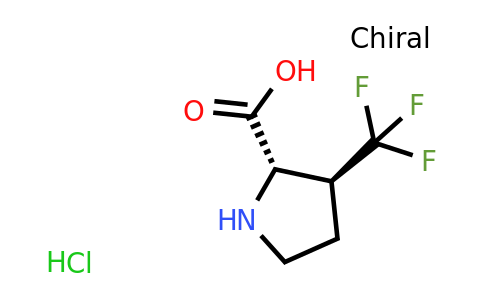 2242747-93-7 | trans-3-(trifluoromethyl)pyrrolidine-2-carboxylic acid;hydrochloride