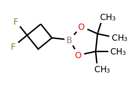 2243345-24-4 | 2-(3,3-Difluorocyclobutyl)-4,4,5,5-tetramethyl-1,3,2-dioxaborolane