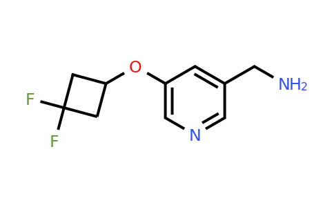 [5-(3,3-difluorocyclobutoxy)-3-pyridyl]methanamine