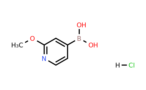 2304634-31-7 | 2-Methoxypyridine-4-boronic acid hydrochloride