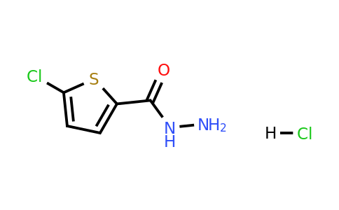 2305079-80-3 | 5-Chlorothiophene-2-carbohydrazide hydrochloride