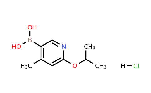 (6-Isopropoxy-4-methylpyridin-3-yl)boronic acid hydrochloride