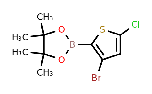 2377606-72-7 | 2-(3-Bromo-5-chlorothiophen-2-yl)-4,4,5,5-tetramethyl-1,3,2-dioxaborolane