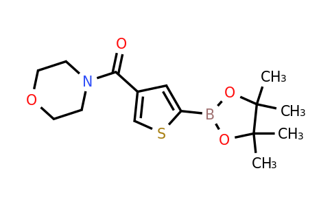 2377606-73-8 | Morpholino(5-(4,4,5,5-tetramethyl-1,3,2-dioxaborolan-2-yl)thiophen-3-yl)methanone