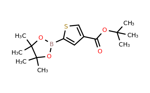 2377607-10-6 | tert-Butyl 5-(4,4,5,5-tetramethyl-1,3,2-dioxaborolan-2-yl)thiophene-3-carboxylate