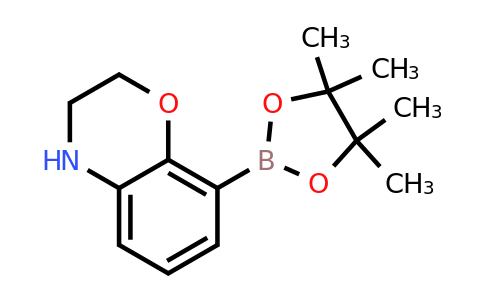 2377610-89-2 | 8-(Tetramethyl-1,3,2-dioxaborolan-2-yl)-3,4-dihydro-2H-1,4-benzoxazine