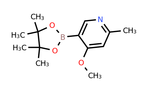 (4-Methoxy-6-methylpyridin-3-yl)boronic acid pinacol ester