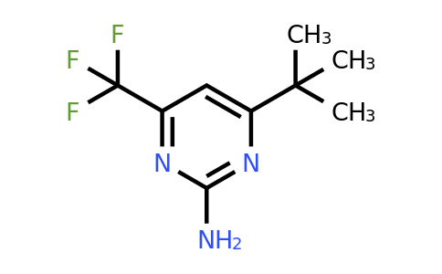 238742-83-1 | 4-(1,1-Dimethylethyl)-6-(trifluoromethyl)-2-pyrimidinamine