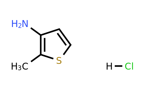 24029-98-9 | 2-Methylthiophen-3-amine hydrochloride