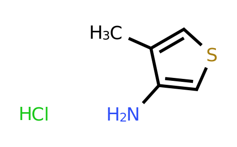 24030-00-0 | 4-Methylthiophen-3-amine hydrochloride