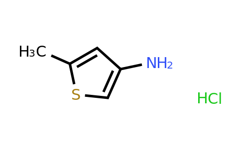 24030-01-1 | 5-Methylthiophen-3-amine hydrochloride
