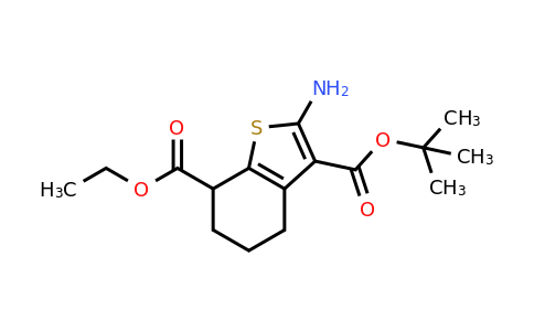 2407479-91-6 | O3-tert-butyl O7-ethyl 2-amino-4,5,6,7-tetrahydrobenzothiophene-3,7-dicarboxylate
