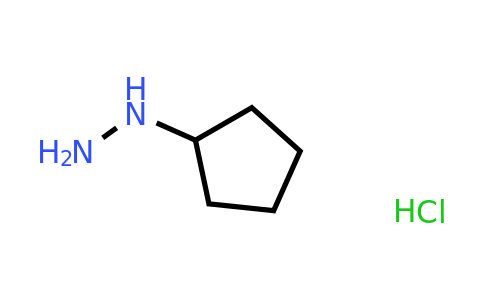 24214-72-0 | Cyclopentylhydrazine hydrochloride
