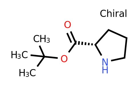 2812-46-6 | H-Pro-OtBu
