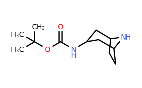 287114-25-4 | tert-Butyl 8-azabicyclo[3.2.1]octan-3-ylcarbamate