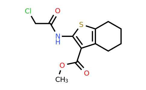 300559-61-9 | Methyl 2-(2-chloroacetamido)-4,5,6,7-tetrahydro-1-benzothiophene-3-carboxylate