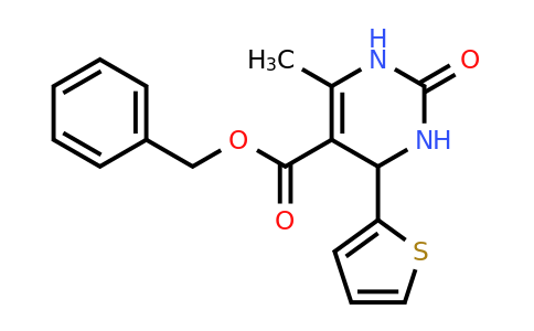 312623-13-5 | Benzyl 6-methyl-2-oxo-4-(thiophen-2-yl)-1,2,3,4-tetrahydropyrimidine-5-carboxylate