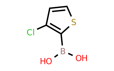 324024-80-8 | (3-Chlorothiophen-2-yl)boronic acid