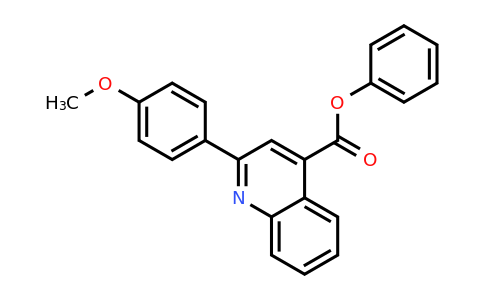329204-09-3 | Phenyl 2-(4-methoxyphenyl)quinoline-4-carboxylate