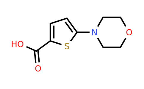 332345-27-4 | 5-Morpholin-4-ylthiophene-2-carboxylic acid