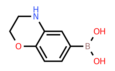 338454-17-4 | (3,4-Dihydro-2H-benzo[b][1,4]oxazin-6-yl)boronic acid