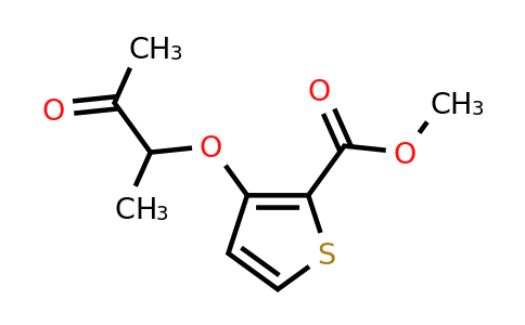 339096-81-0 | Methyl 3-((3-oxobutan-2-yl)oxy)thiophene-2-carboxylate