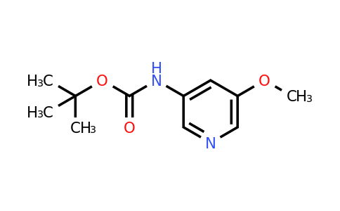 342603-10-5 | tert-Butyl (5-methoxypyridin-3-yl)carbamate