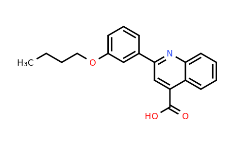 350997-43-2 | 2-(3-Butoxyphenyl)quinoline-4-carboxylic acid