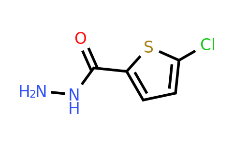351983-31-8 | 5-Chlorothiophene-2-carbohydrazide