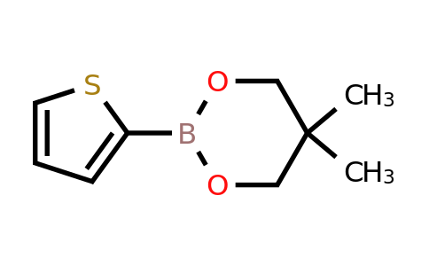 355408-55-8 | 5,5-Dimethyl-2-(thiophen-2-yl)-1,3,2-dioxaborinane