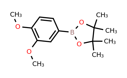 365564-10-9 | 2-(3,4-Dimethoxyphenyl)-4,4,5,5-tetramethyl-1,3,2-dioxaborolane
