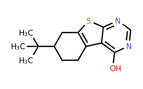 380902-66-9 | 7-(Tert-butyl)-5,6,7,8-tetrahydrobenzo[4,5]thieno[2,3-d]pyrimidin-4-ol